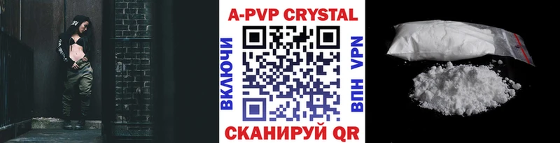 A PVP СК  Бакал 